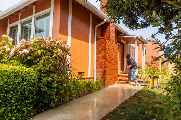 Best Deck Cleaning Services  in West Point, UT