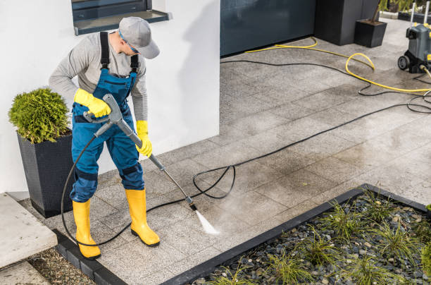 Best Exterior Home Cleaning  in West Point, UT