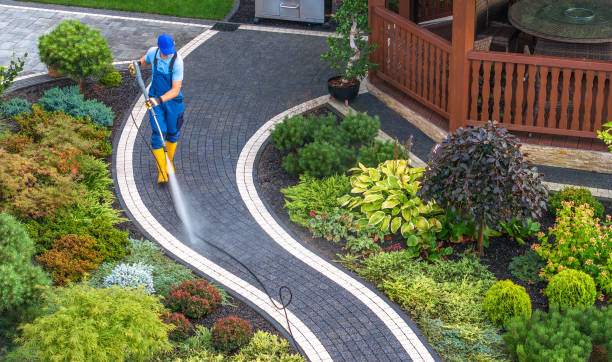 Best Affordable Power Washing  in West Point, UT