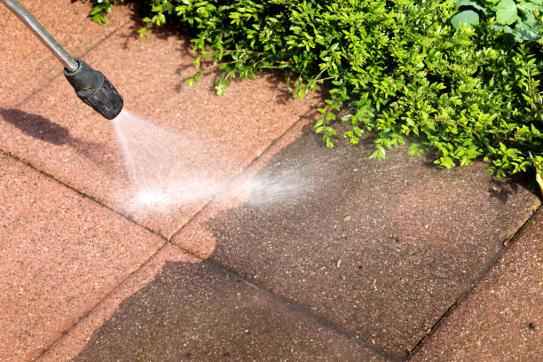 Best Residential Pressure Washing Services  in West Point, UT